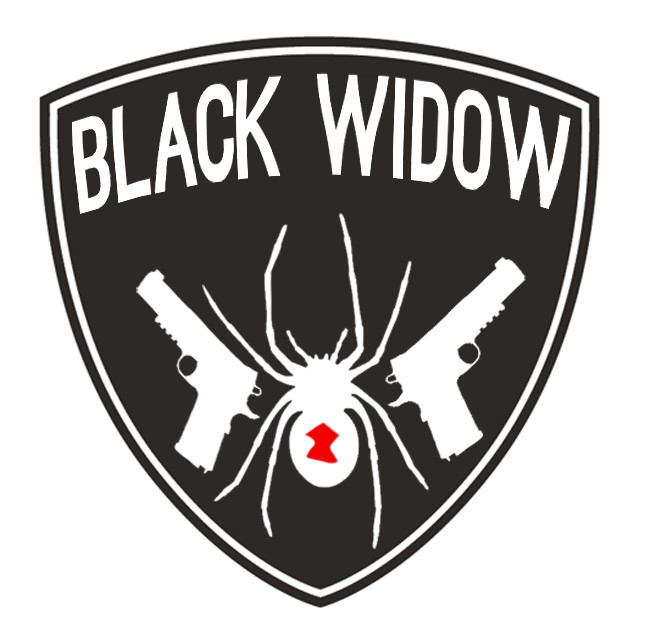 Brooklyn Nets Black Widow logo fabric transfer